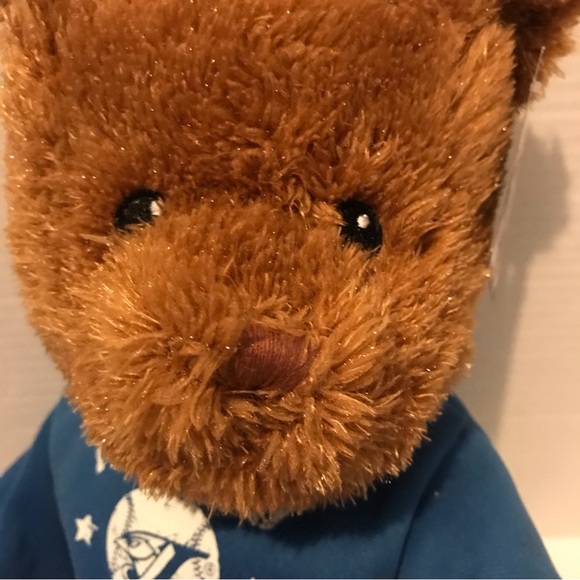 MLB Toronto Blue Jays 2009 teddy plush in removable blue jersey - Picture 5 of 10